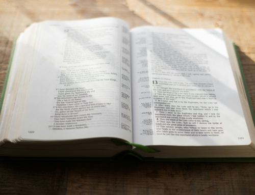 Ten Reasons to Read Your Bible